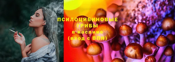 spice Касимов