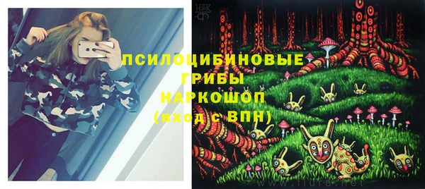 метадон Карпинск