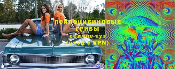 стафф Карталы