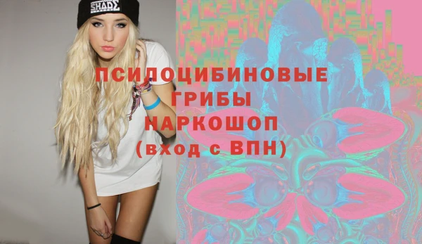 стафф Карталы