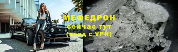 сатива Каменка
